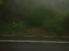 07h: Rodrigues: Joaninha:  photos et deux vidéos sur place ce matin