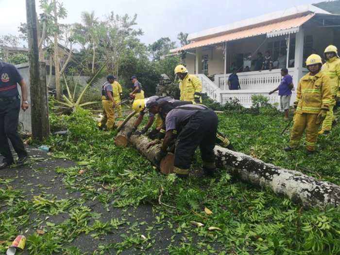 Maurice: "mini tornade" à Sebastopol Maurice: "mini tornade" à Sebastopol