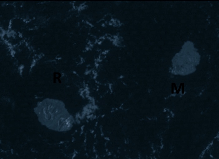 Nos deux bijoux vus ce matin à 8h30 par le satellite indien Insat3d Nos deux bijoux vus ce matin à 8h30 par le satellite indien Insat3d