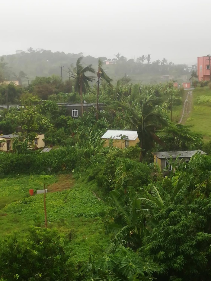 ROD ce matin. Crédit Frédéric Terre Rouge. ROD ce matin. Crédit Frédéric Terre Rouge.