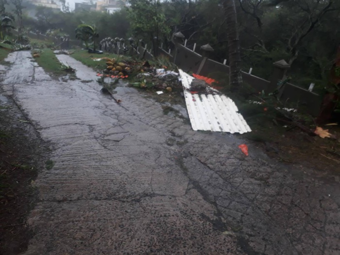 07h: Rodrigues: Joaninha:  photos et deux vidéos sur place ce matin