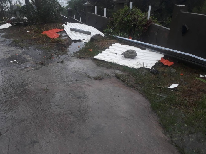 07h: Rodrigues: Joaninha:  photos et deux vidéos sur place ce matin