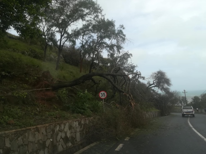 Rodrigues: le cyclone intense JOANINHA s'éloigne, quelques photos sur place ce matin Rodrigues: le cyclone intense JOANINHA s'éloigne, quelques photos sur place ce matin