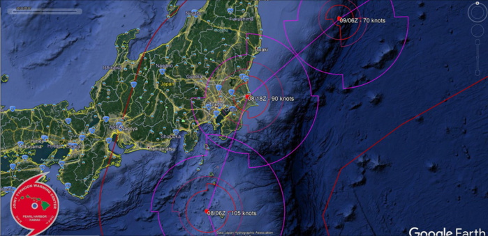 14W: close-up on the forecast near Tokyo in 24h.