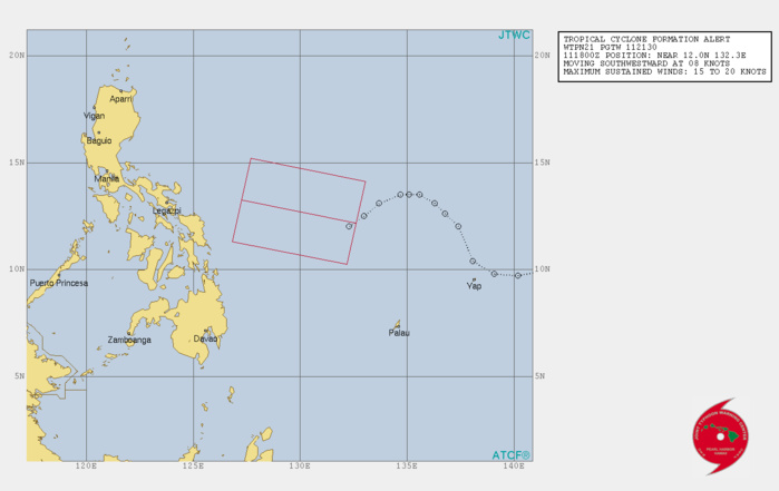 INVEST 91W: TCFA