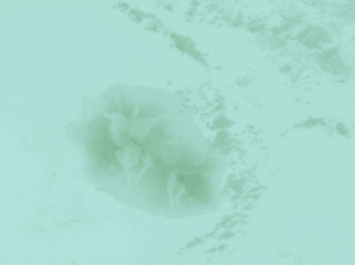 LA RÉUNION CAPTURÉE PAR LE SATELLITE NPP LA NUIT DERNIÈRE LA RÉUNION CAPTURÉE PAR LE SATELLITE NPP LA NUIT DERNIÈRE