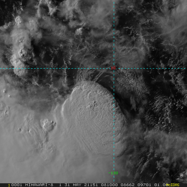 31/0810UTC. FLARING CONVECTION CLOSE TO THE LOW LEVEL CIRCULATION CENTER.