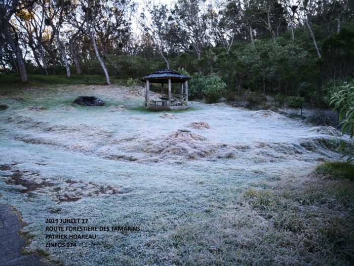 Photo prise le 17 Juillet 2019 sur la Route Forestière des Tamarins(1800m) à la RÉUNION. PH. Photo prise le 17 Juillet 2019 sur la Route Forestière des Tamarins(1800m) à la RÉUNION. PH.