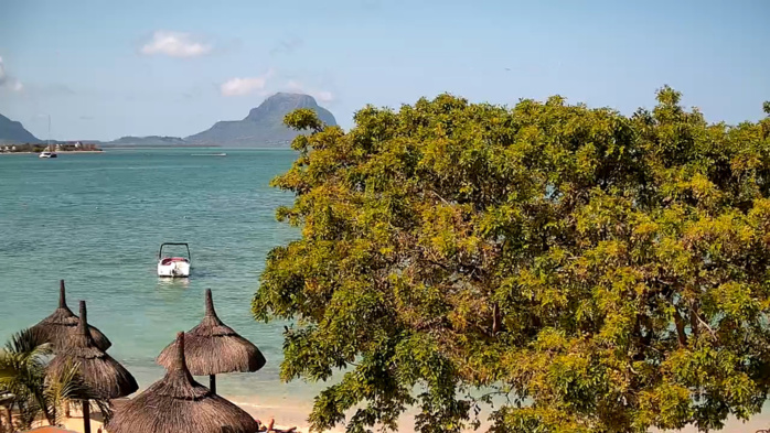 Vous pouvez agrandir l'image en cliquant et en l'élargissant avec vos doigts. Vous pouvez agrandir l'image en cliquant et en l'élargissant avec vos doigts.