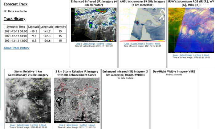 TD 28W: forecast to reach Typhoon CAT 2 by 72H,approaching the Philippines// TC 03P(RUBY): peaking by 24H close to New Caledonia,13/03utc TD 28W: forecast to reach Typhoon CAT 2 by 72H,approaching the Philippines// TC 03P(RUBY): peaking by 24H close to New Caledonia,13/03utc