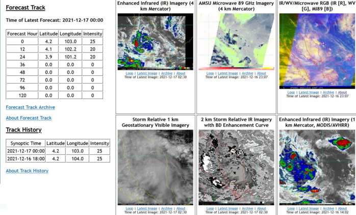 Typhoon 28W(RAI) to pass over Palawan within 12hours,2nd intensity peak forecast in 36hours//TD 29W short-lived Northwest of Singapore,17/03utc