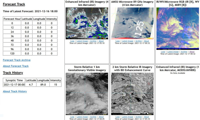 Typhoon 28W(RAI) to pass over Palawan within 12hours,2nd intensity peak forecast in 36hours//TD 29W short-lived Northwest of Singapore,17/03utc