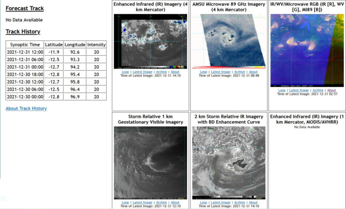 04P(SETH) confounds high vertical wind shear and is the last 2021 Tropical Cyclone