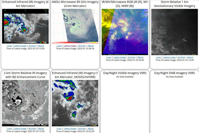 Tropical Cyclone Formation Alert issued for Invest 96S// Invest 91W and over-land TC 07S(ANA) updates, 25/13utc