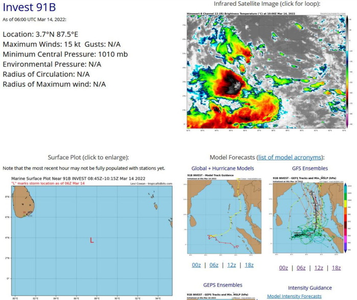 TC 20S: intensifying over the South Indian Ocean//Remnants of TC 19S(GOMBE) still over-land//Invest 91B, 14/09utc
