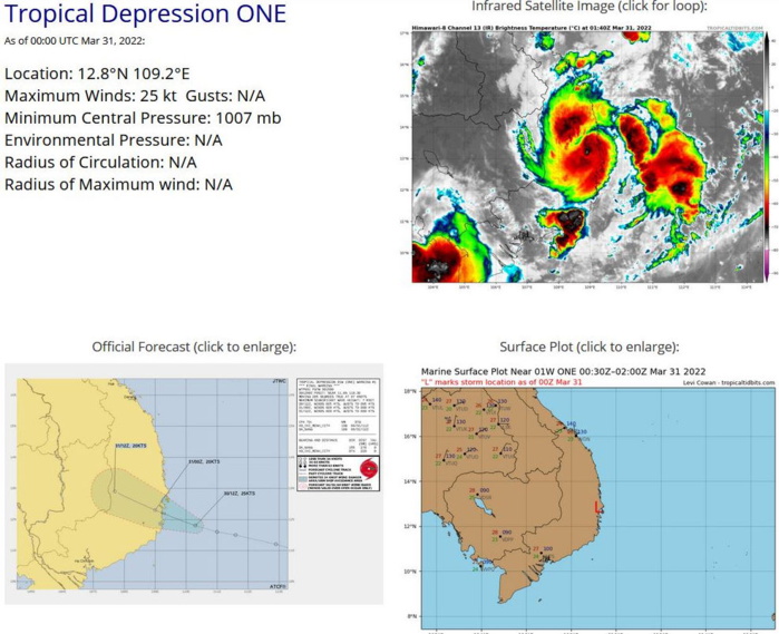 TC 22S(HALIMA): forecast to fall below 35kts after 24h//TD 01W: made landfall //Invest 96S and Invest 94W, 31/03utc