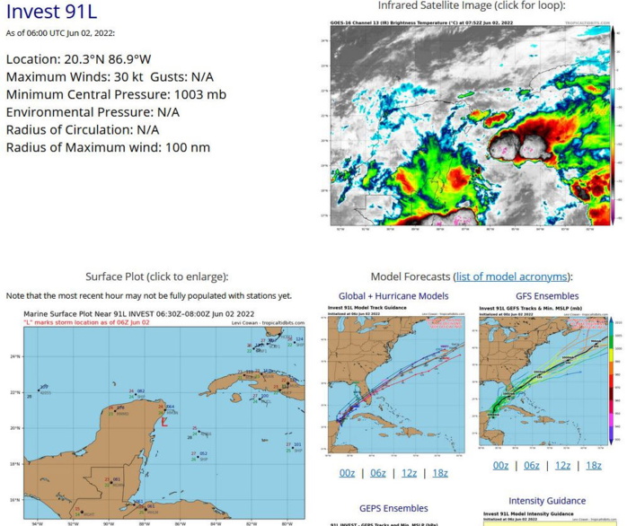 Invest 91L: Tropical Cyclone Formation Alert// Invest 94W, 02/06utc