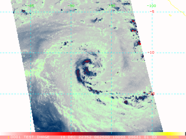 THE LOW LEVEL CIRCULATION HAS BEEN GETTING BETTER DEFINED.