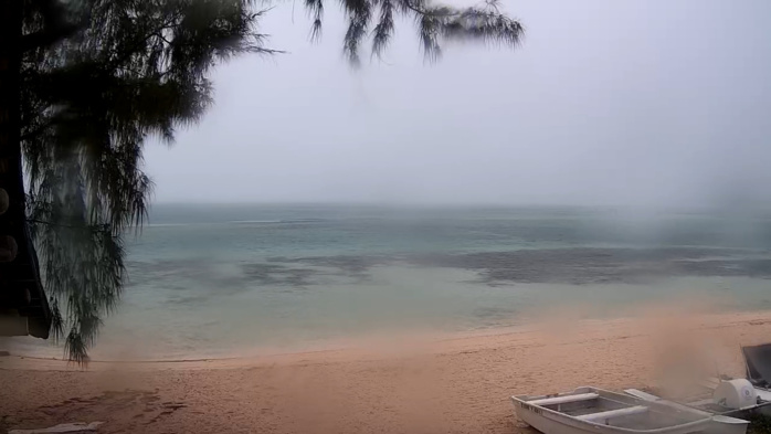 MAURITIUS: significant rain at last!