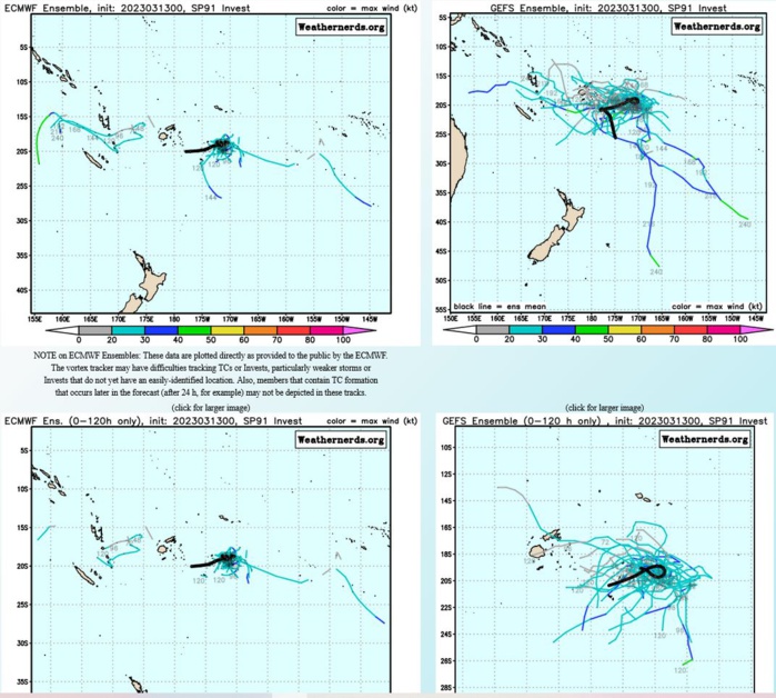 Invest 91P: Tropical Cyclone Formation Alert//Invest 90P//TC 11S(FREDDY) over-land remnants//Invest 99P//1306utc