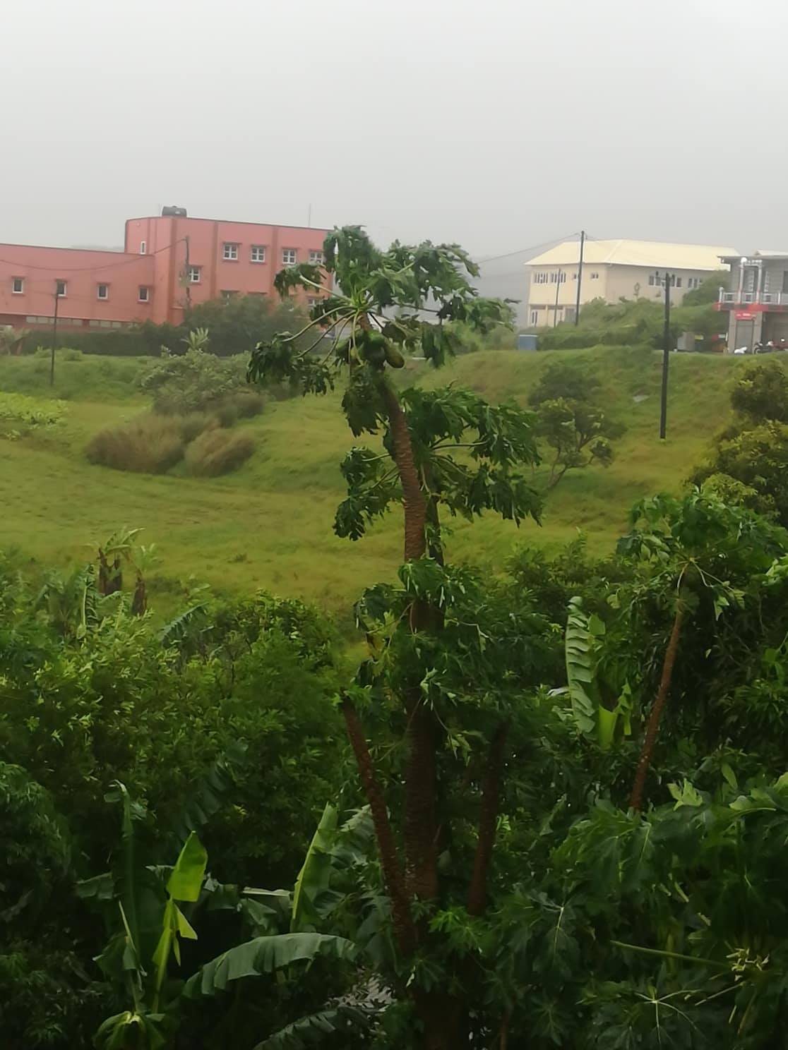 ROD ce matin. Crédit Frédéric Terre Rouge. ROD ce matin. Crédit Frédéric Terre Rouge.