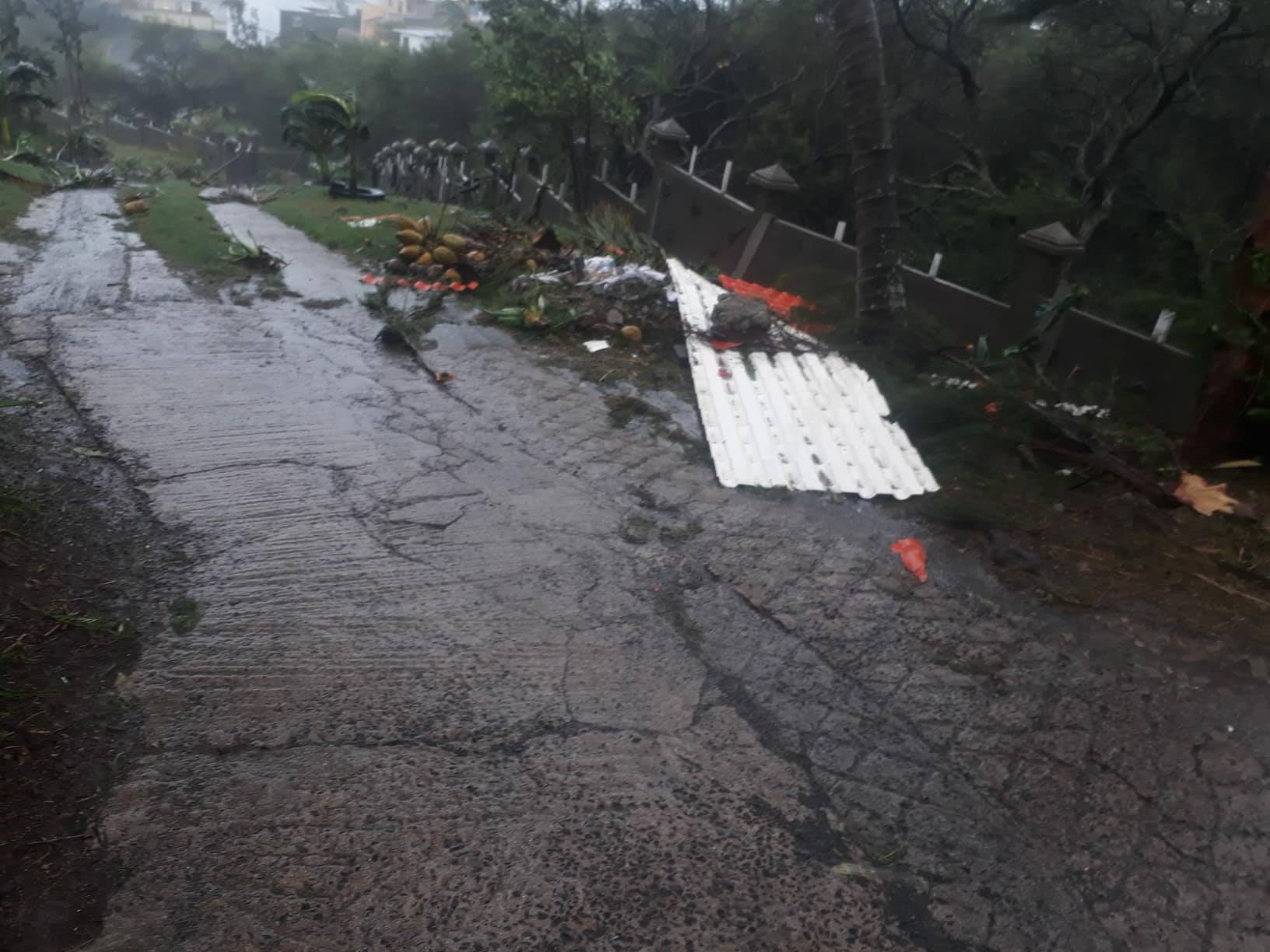 07h: Rodrigues: Joaninha:  photos et deux vidéos sur place ce matin