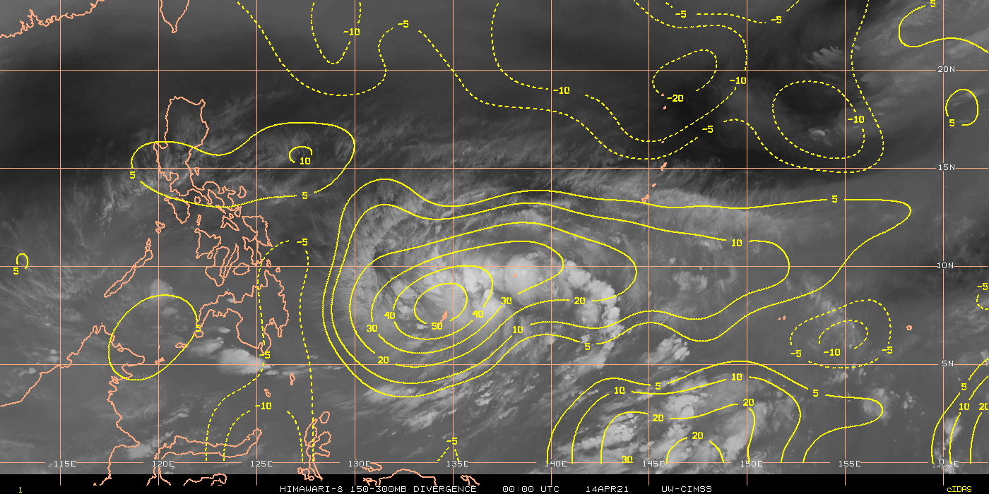 02W. DIVERGENCE. WELL DEPICTED POLEWARD AND EQUATORWARD OUTFLOW CHANNELS.