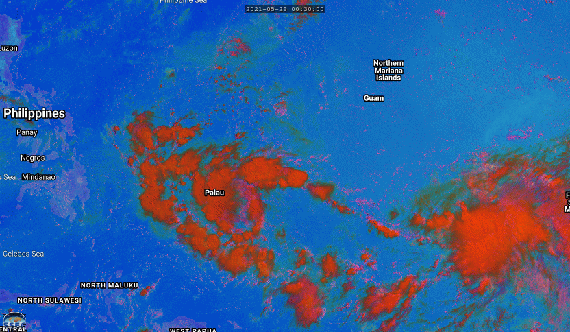 29/0630UTC. 6H LOOP. INVEST 90W: ANIMATED MULTISPECTRAL SATELLITE IMAGERY (MSI)  DEPICTS MID TO UPPER LEVEL TURNING OVER AN ILL DEFINED LOW LEVEL  CIRCULATION. INVEST 99W: ANIMATED MULTISPECTRAL  SATELLITE IMAGERY DEPICTS CONVECTIVE BANDING WRAPPING INTO A LOW  LEVEL CIRCULATION CENTER
