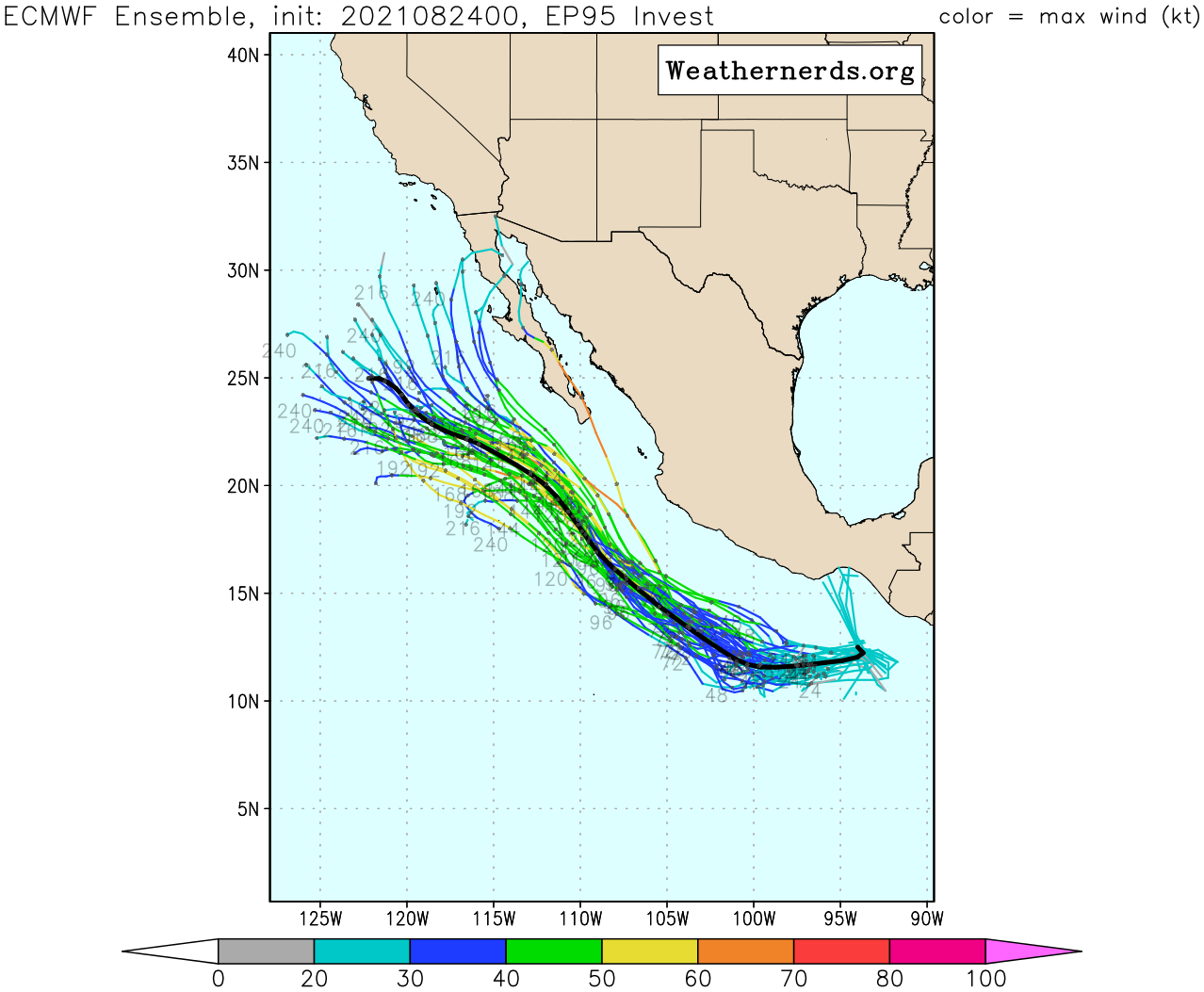 INVEST 95E. NUMERICAL MODELS ARE  IN GOOD AGREEMENT THAT 95E WILL TRACK GENERALLY WESTWARD AS IT  INTENSIFIES OVER THE NEXT 24-48 HOURS.