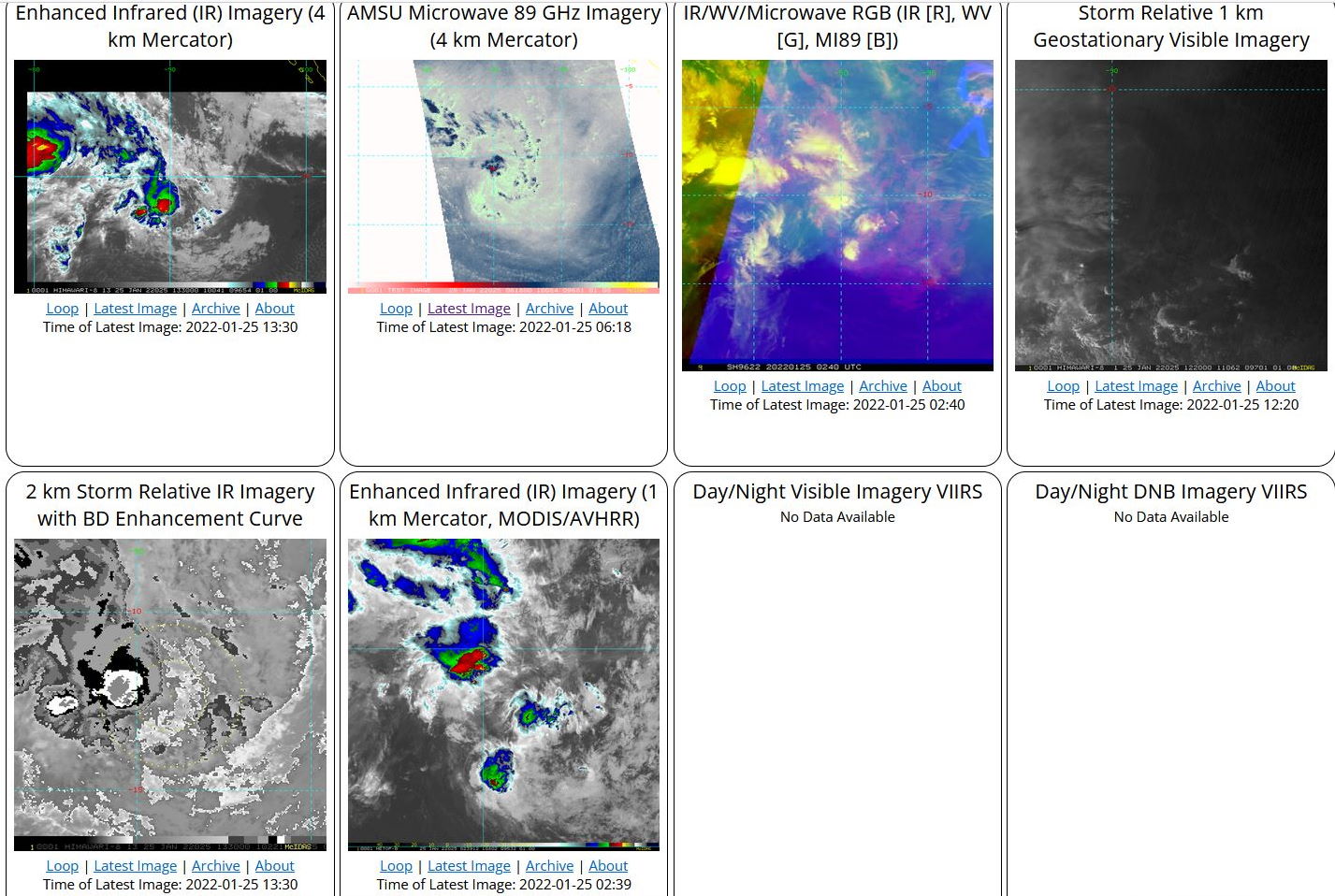 Tropical Cyclone Formation Alert issued for Invest 96S// Invest 91W and over-land TC 07S(ANA) updates, 25/13utc