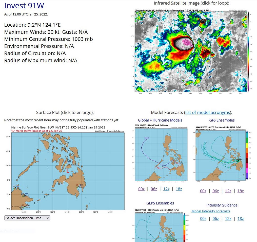 THE AREA OF CONVECTION (INVEST 91W) PREVIOUSLY LOCATED  NEAR 8.4N 129.6E IS NOW LOCATED NEAR 8.2N 124.2E, APPROXIMATELY 730  KM EAST-SOUTHEAST OF PUERTO PRINCESA, PHILIPPINES. ANIMATED ENHANCED  MULTISPECTRAL SATELLITE IMAGERY (MSI) AND A 250450Z GMI 89GHZ  MICROWAVE IMAGE DEPICTS DISORGANIZED CONVECTION WRAPPING INTO A  PARTIALLY EXPOSED LOW LEVEL CIRCULATION (LLC). ENVIRONMENTAL  ANALYSIS INDICATES OVERALL FAVORABLE CONDITIONS DEFINED BY LOW TO  MODERATE (15-20 KNOTS) VERTICAL WIND SHEAR, AND FAIR POLEWARD  OUTFLOW. ECMWF AND GFS ARE IN GENERAL AGREEMENT ON THE WESTWARD  TRACK OF INVEST 91W AND DESPITE THE OVERALL FAVORABLE ENVIRONMENT,  LIMITED TIME OVER WATER AND MAKING LANDFALL OVER MINDANAO INDICATES  THE SYSTEM IS NOT EXPECTED TO REACH WARNING CRITERIA IN THE NEXT 48  HOURS. MAXIMUM SUSTAINED SURFACE WINDS ARE ESTIMATED AT 18 TO 23  KNOTS. MINIMUM SEA LEVEL PRESSURE IS ESTIMATED TO BE NEAR 1007 MB.  THE POTENTIAL FOR THE DEVELOPMENT OF A SIGNIFICANT TROPICAL CYCLONE  WITHIN THE NEXT 24 HOURS REMAINS LOW.