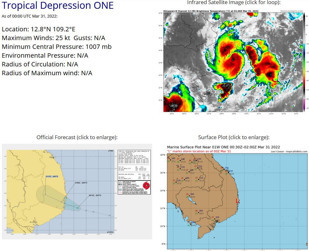 TC 22S(HALIMA): forecast to fall below 35kts after 24h//TD 01W: made landfall //Invest 96S and Invest 94W, 31/03utc