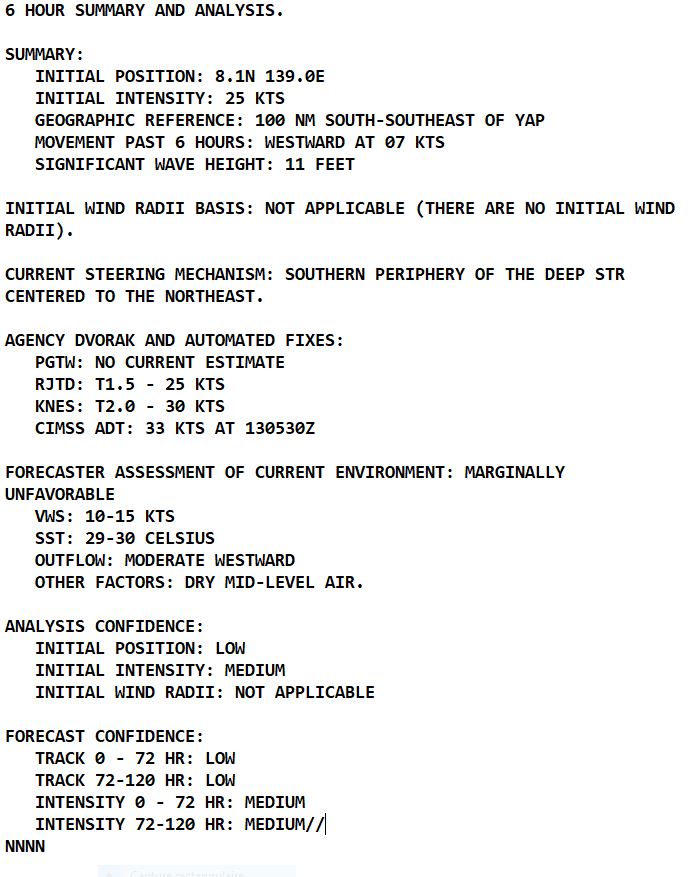 TD 17W weak and ill-defined for now// 02P(MAL) intensifying while approaching FIJI//1309utc