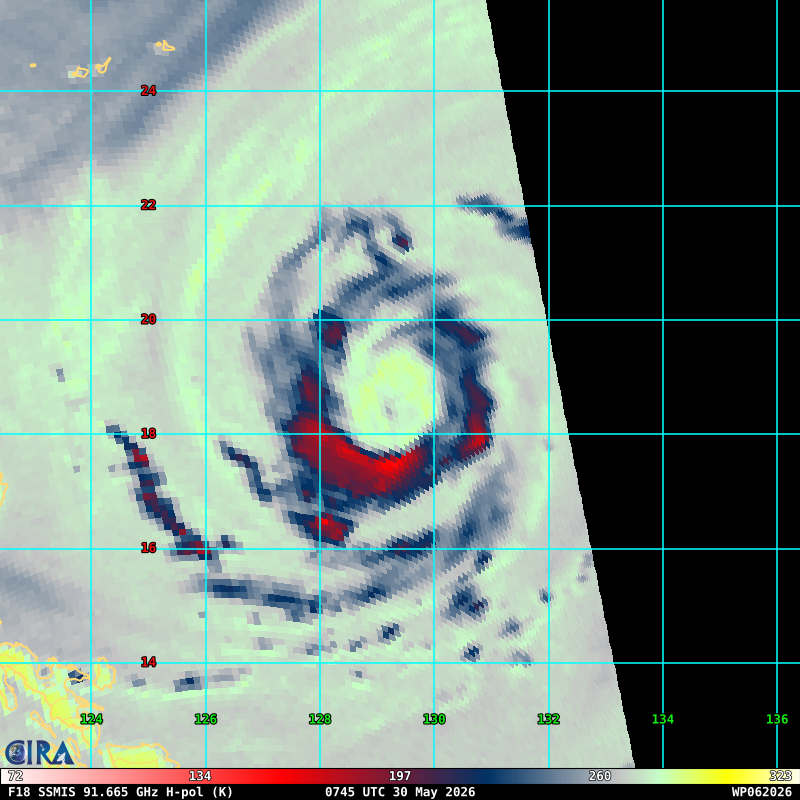 WESTERN PACIFIC:Typhoon 06W(JANGMI) forecast to peak at CAT 2 US within 36h and track very close to OKINAWA by 48h/301030 UTC / 