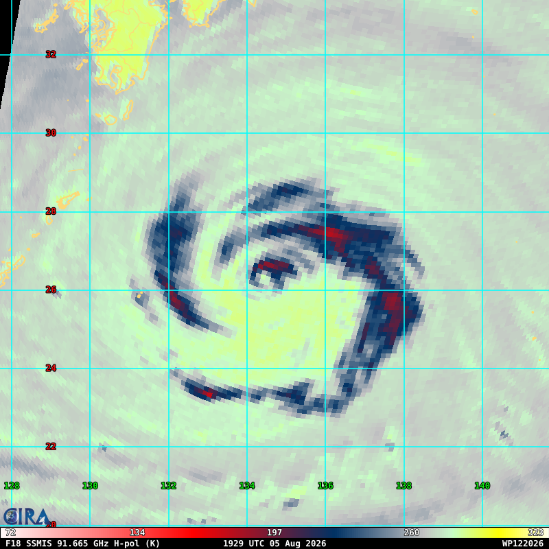 WESTERN PACIFIC: TY 12W(DOLPHIN) down from CAT4 US to CAT 1 in 36h, gradually approaching OKINAWA/TS 13W(KUJIRA)/Invest 96W//05@2200 UTC