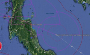 Très rare: le Gofle de Thailande sous la menace d'une forte tempête tropicale