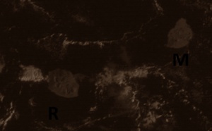 Grand soleil ce matin sur la Réunion et sur Maurice