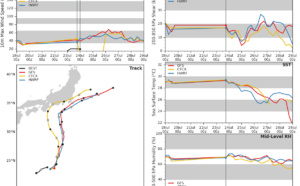 INVEST 91W : moderate chances of development.  INVEST 96S: development unlikely
