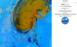 Typhoon Neoguri(21W): midget and well organized. Bualoi(22W): intensifying system