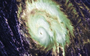 Neoguri(21W) becoming extratropical. Typhoon Bualoi(22W), cat 2 and intensifying