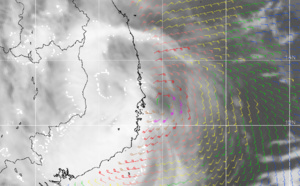 Tropical Storm Nakri(25W) making landfall as a 55knots cyclone
