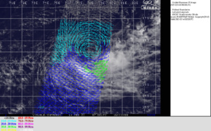 19S(FARAJI): Final Warning, Peak Intensity was 140knots/Cat 5. Invest 91W East of Palau, Invest 93S over Mozambique, 14/09utc updates