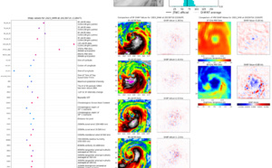 Typhoon 04W(TALIM) peaking and crossing LEIZHOU peninsula landfall near VIETNAM/CHINA border shortly after 24h//Invest 98W//1703utc 